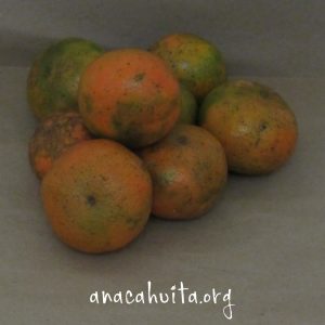 Mandarina, kilo