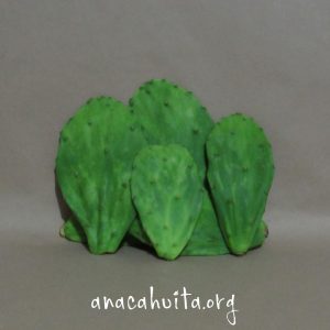 Nopal lengua de vaca, kilo