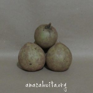 Chicozapote, kilo