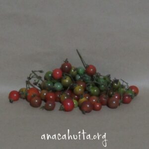 Tomate pajarito, 200 gr