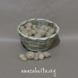 Papita de barbecho, 250 gr