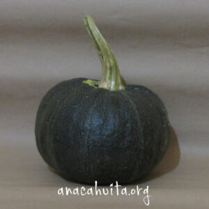 Calabaza güicha, pieza