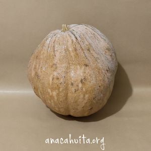 Calabaza de Castilla, pieza