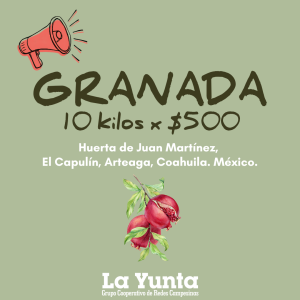 Granada, 10 kilos