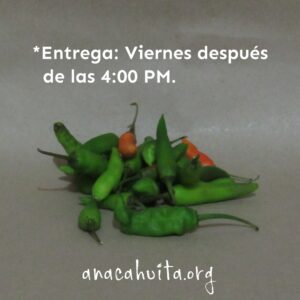 Chile pico de pájaro, 100 gr