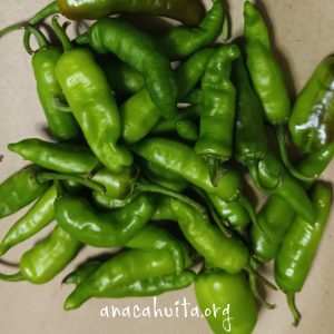 Chile pico de pájaro, 100 gr