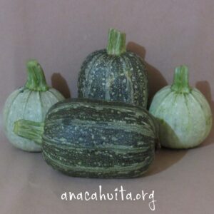 Calabaza de maíz, kilo