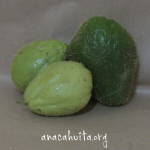 Chayote espinas, kilo