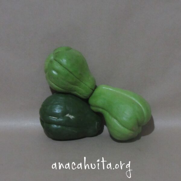 Chayote, kilo