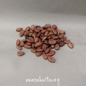 Cacao grano, 100 gr