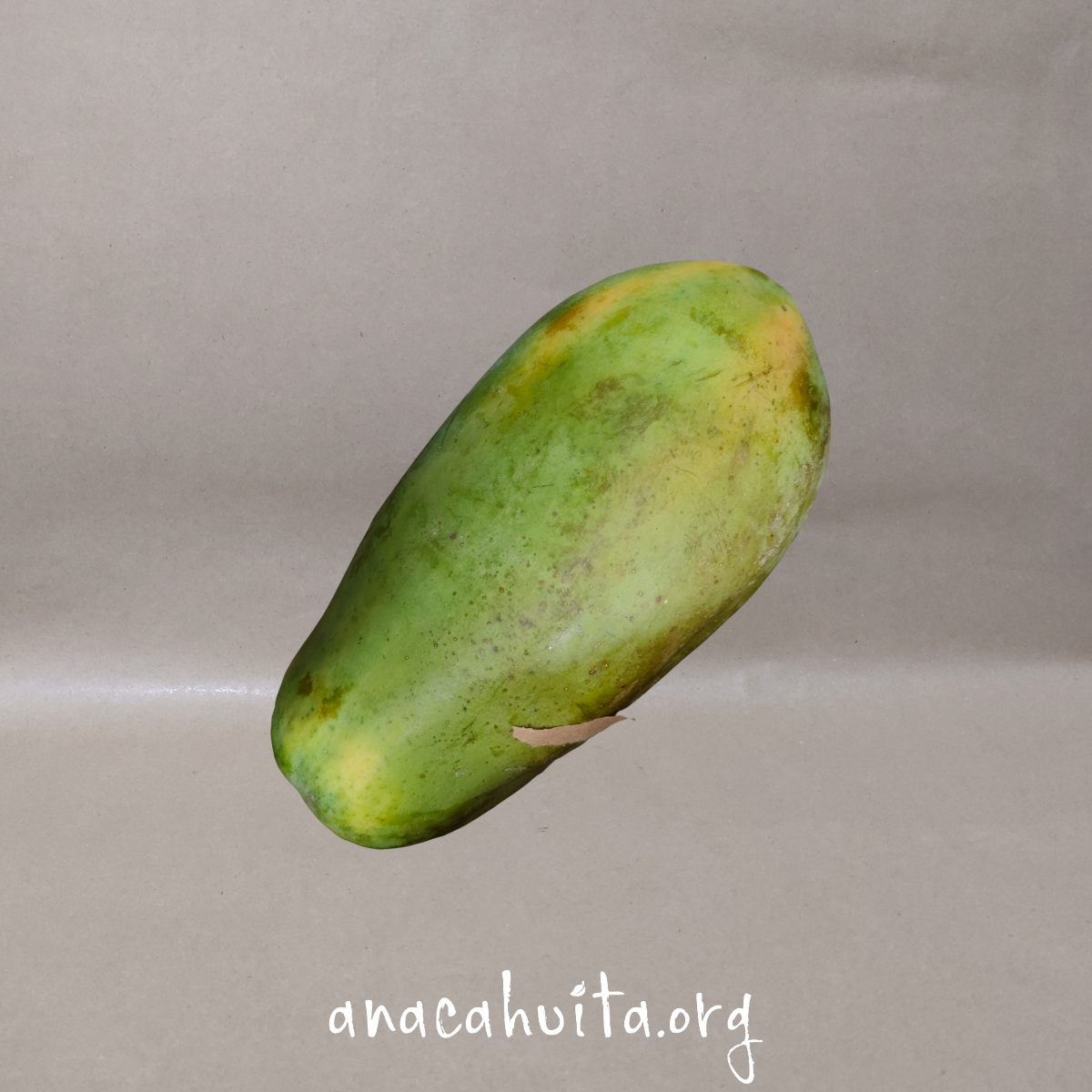 Papaya, pieza