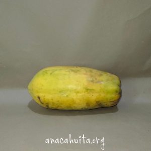 Papaya, pieza