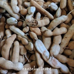 Tamarindo criollo, kilo