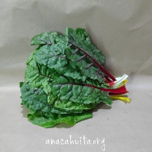 Acelga arcoíris, manojito