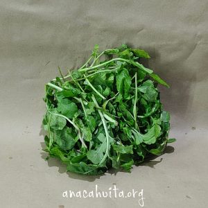 Arugula, 250 gr