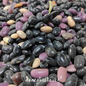 Frijol ayocote pinto, 250 gr