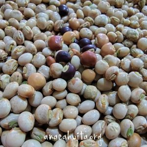 Guandú, 250 gr