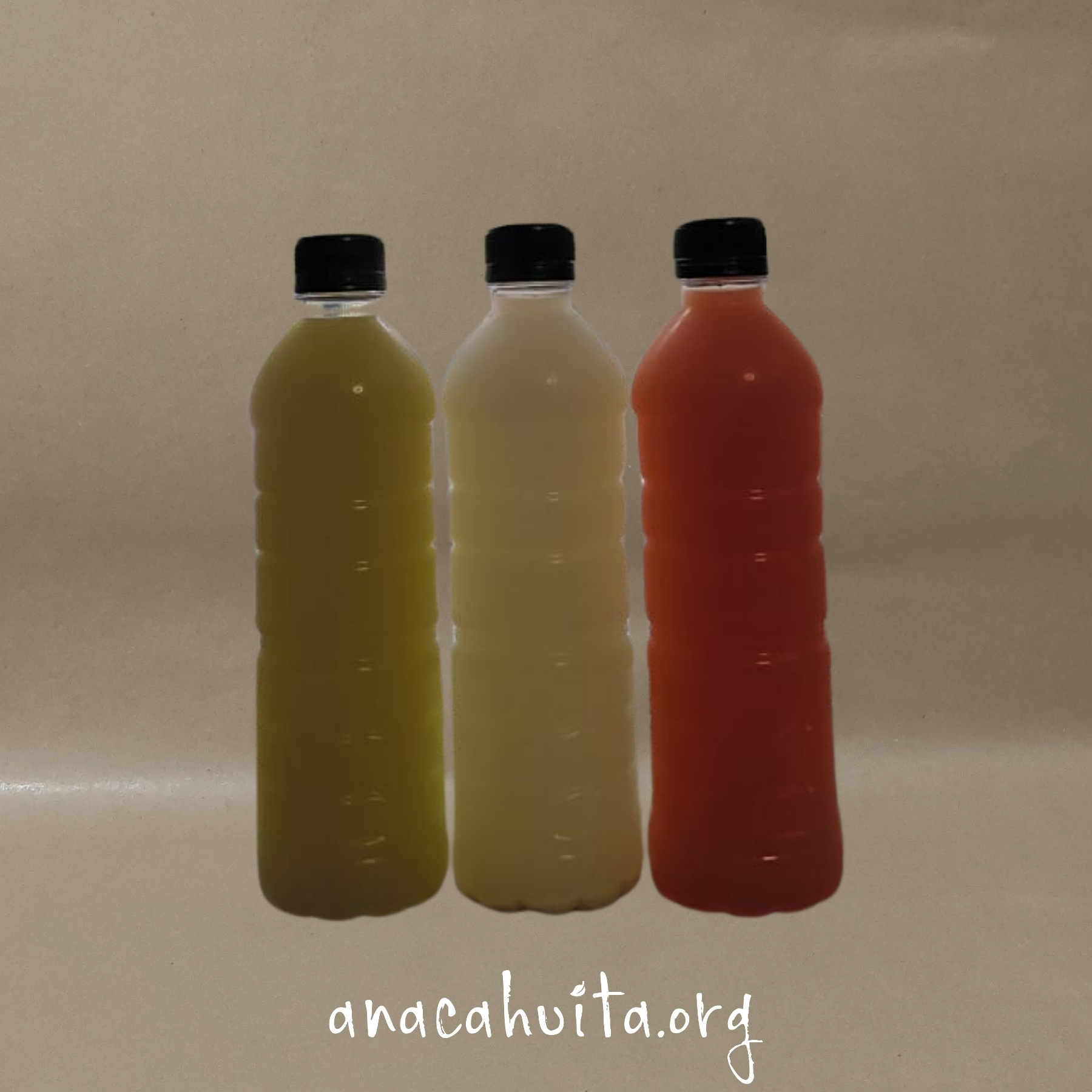 Pulque curado