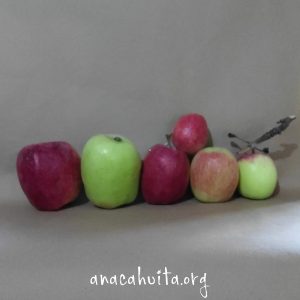 Manzana sanjuanera, kilo