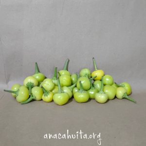 Chile bolita, 250 gr