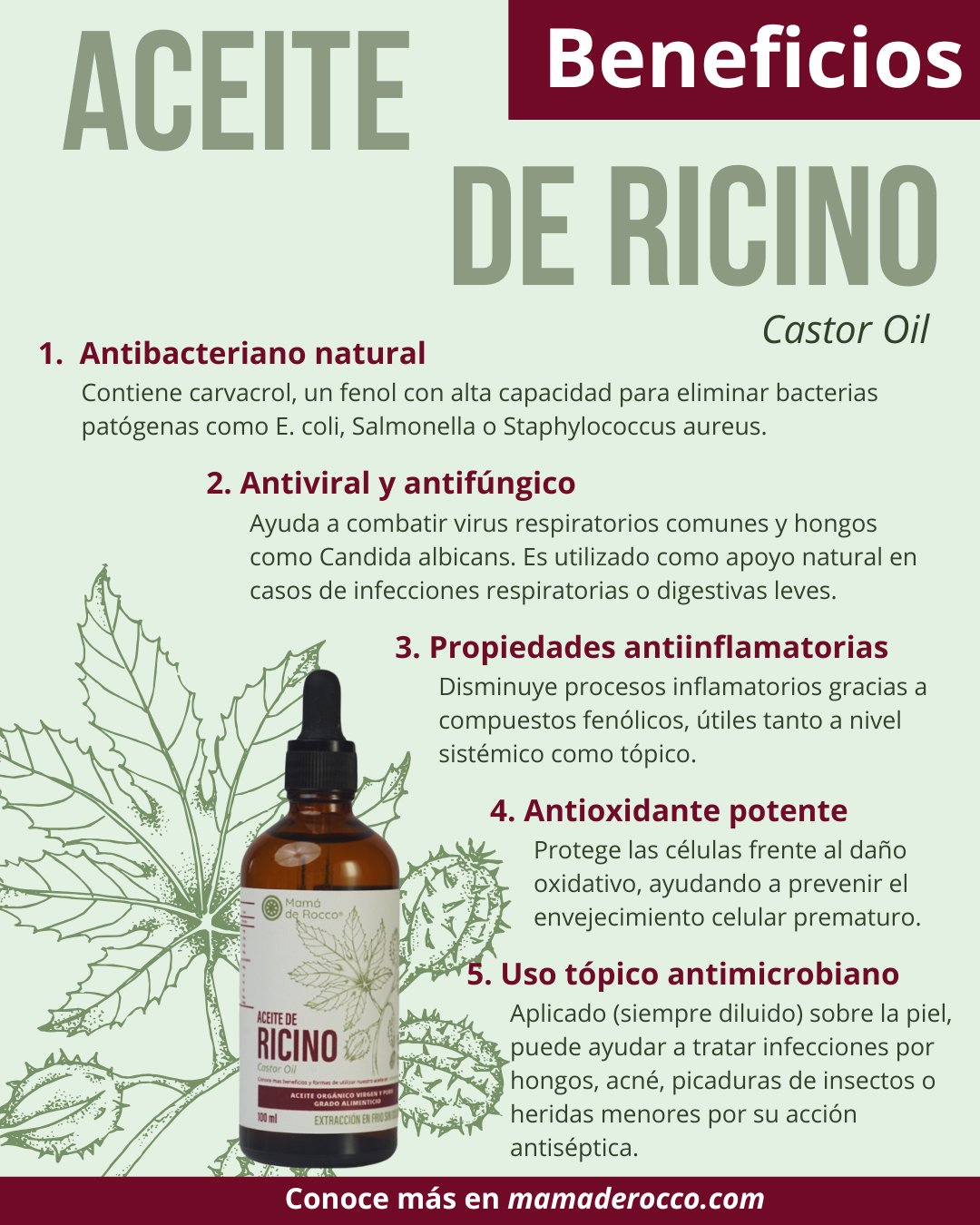 Aceite de ricino - Imagen 2