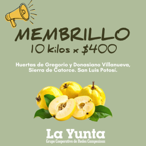 Membrillo, 10 kilos