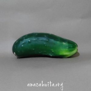 Pepinito, pieza