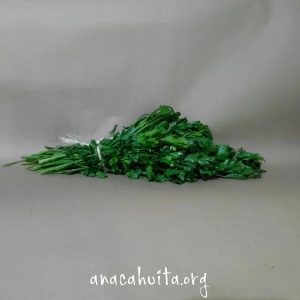 Perejil, manojito