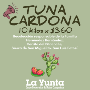 Tuna cardona, 10 kilos